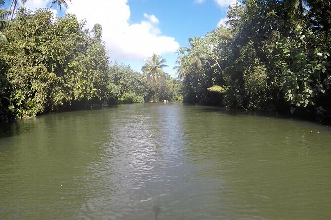 1/2 day "Treasures of Raiatea" by boat - ideal for cruise passengers - FAQ