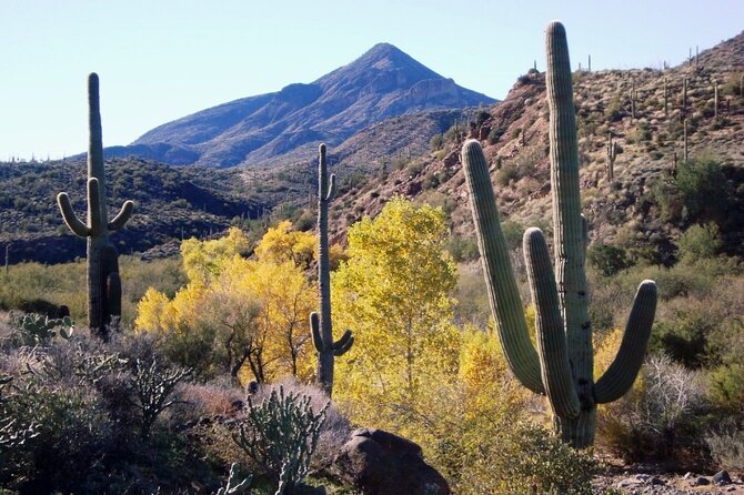1-2 Hour Jewel of the Creek Private Guided Hiking Tour - Key Points