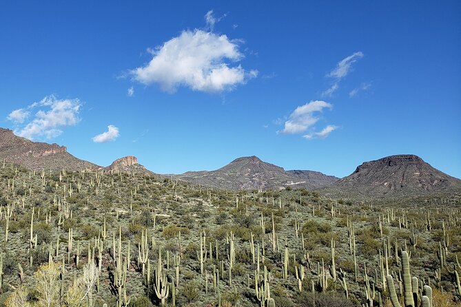 1-2 Hour Jewel of the Creek Private Guided Hiking Tour - Meeting Location and Pickup
