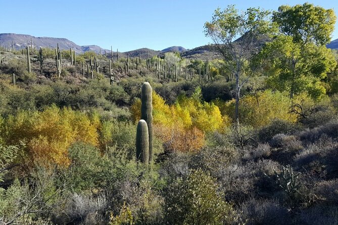 1-2 Hour Jewel of the Creek Private Guided Hiking Tour - Health and Accessibility Considerations