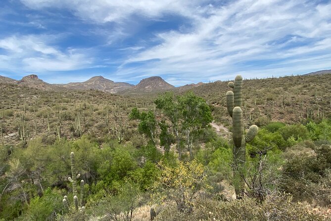1-2 Hour Jewel of the Creek Private Guided Hiking Tour - Public Transportation Access