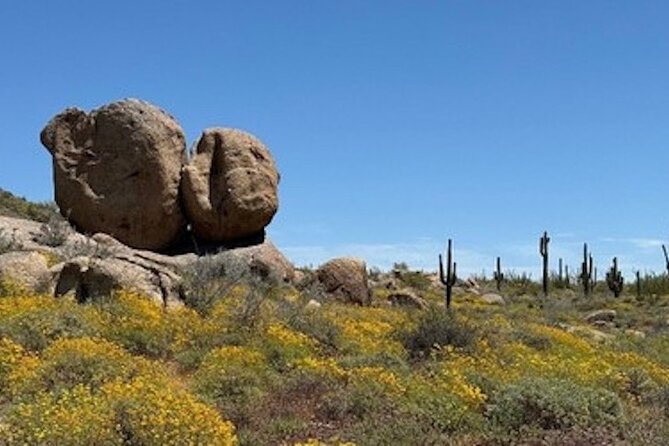 1-2 Hour Sonoran Desert Private Guided Hiking Tour - Provisions Included in the Tour