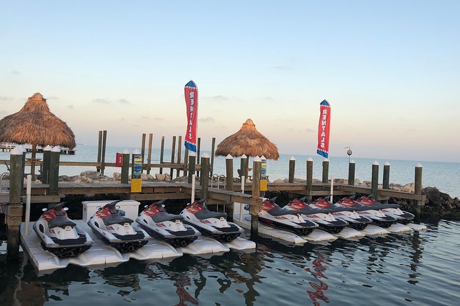 1.5 Hour (20 Miles) Waverunner Tour. See Mangrove Tunnels, 20 Islands & Sandbar - Exploring the Mangrove Tunnels