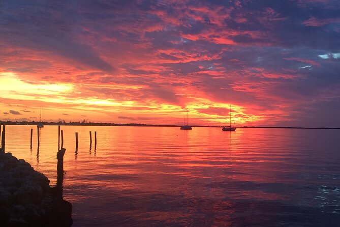 1.5 Hour Bay Side Key Largo Sunset Cruise on a Spacious Catamaran - Enjoying the Catamarans Amenities