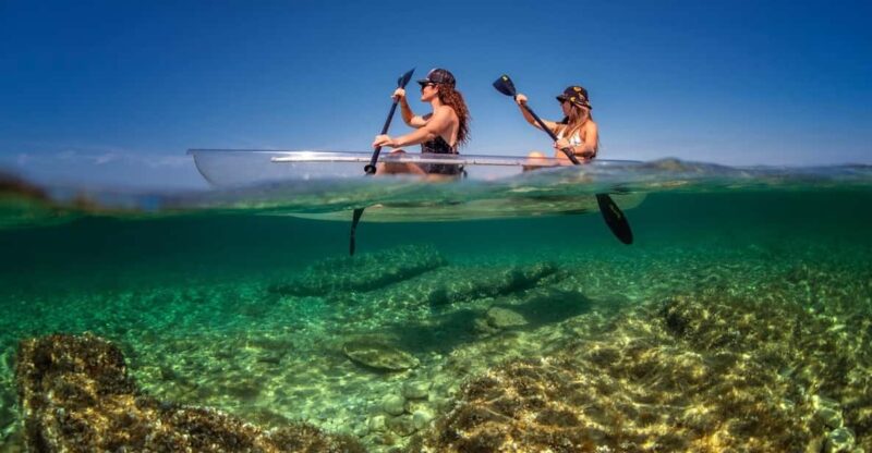 1.5-hour Clear Kayak Rentals: Explore the Underwater World - Cancellation Policy