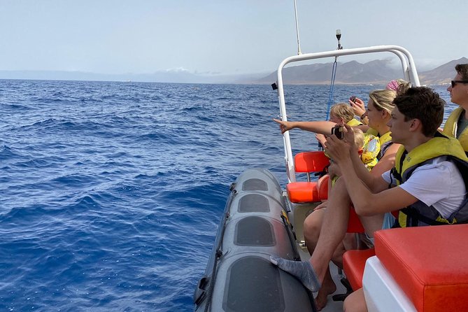1.5-Hour Dolphin and Whale Watching Tour - Key Points