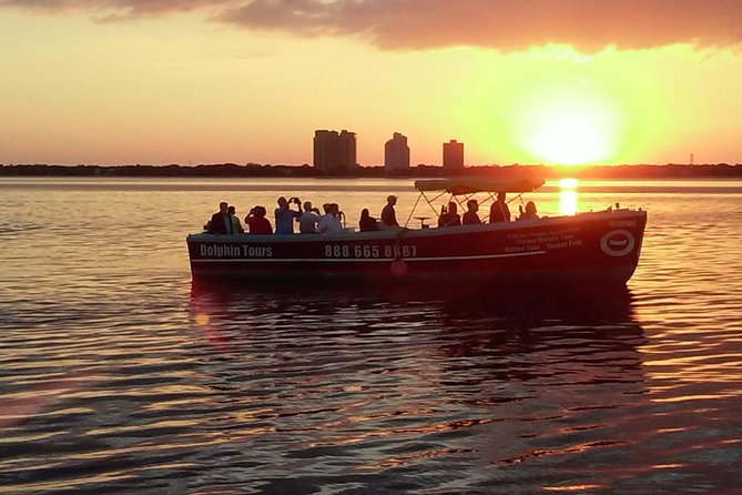 1.5-Hour Dolphin Sightseeing Cruise From Tampa - Whats Included