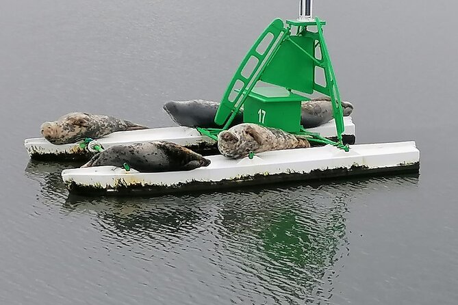 1.5 Hour Firth of Forth Sightseeing Cruise - What to Expect