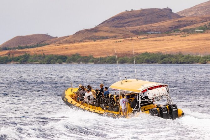 1.5-Hour Koa Kai Adventure Whale Watch - Key Points