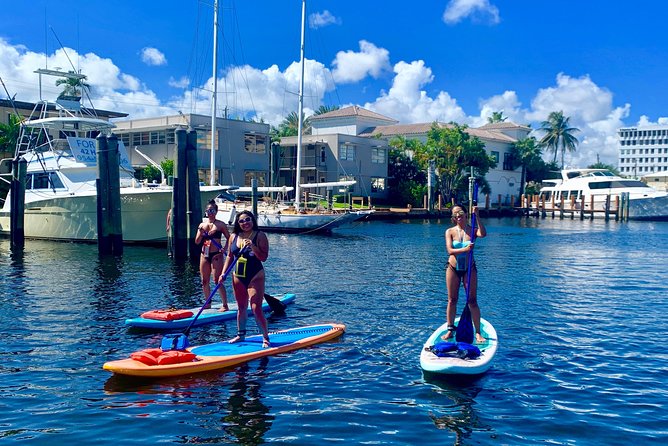 1.5 Hour Paddle Board Rental With Instruction - Discovering Millionaire Row