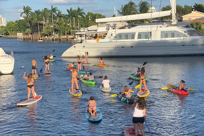 1.5 Hour Paddle Board Rental With Instruction - Observing Local Wildlife