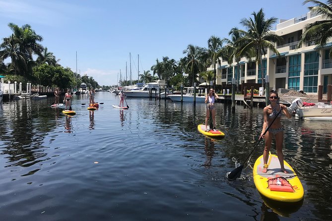 1.5 Hour Paddle Board Rental With Instruction - Transportation and Accessibility