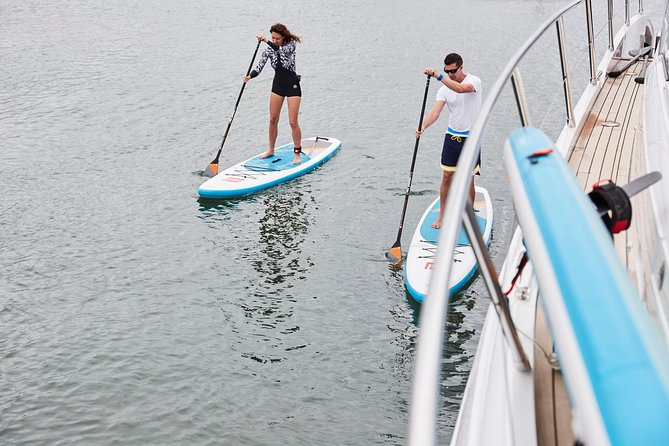 1.5 Hour Paddle Board Rental With Instruction - Customer Reviews and Ratings