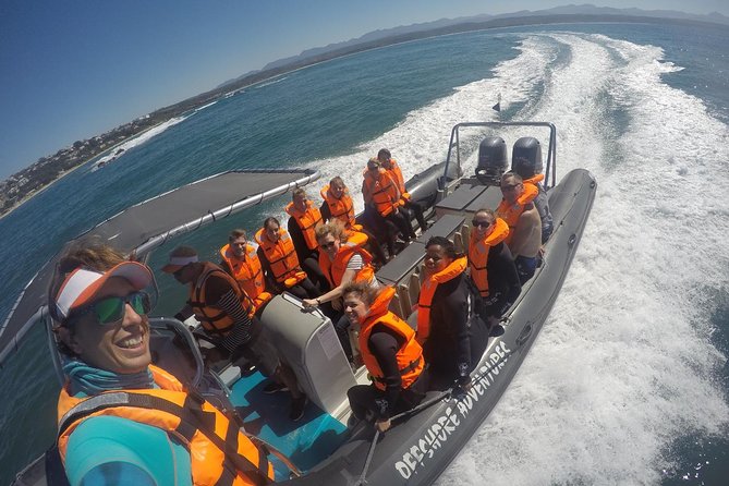 1.5-Hour Seal Viewing Boat Tour in Plettenberg Bay - Seal Colony and Ecosystem