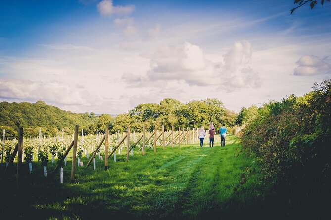 1.5-Hour Swanaford Vineyard Tour And Tasting Experience - Meeting and Pickup