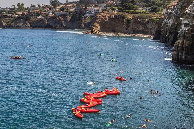 1.5 Hour Walking Tour From La Jolla in San Diego - Additional Information