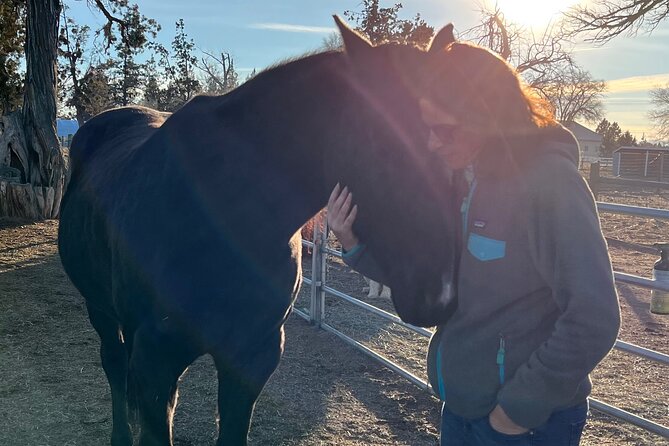 1.5 Hours Private Meditations With the Horses in Oregon - Key Points