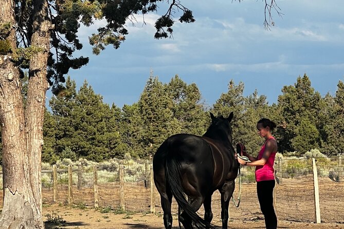 1.5 Hours Private Meditations With the Horses in Oregon - Preparing for the Experience
