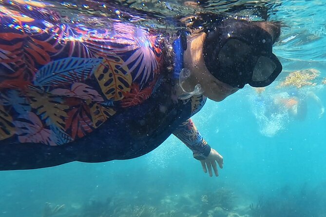 1.5 Hours Snorkeling at Tulums Paradise Reef - Pricing and Guarantee