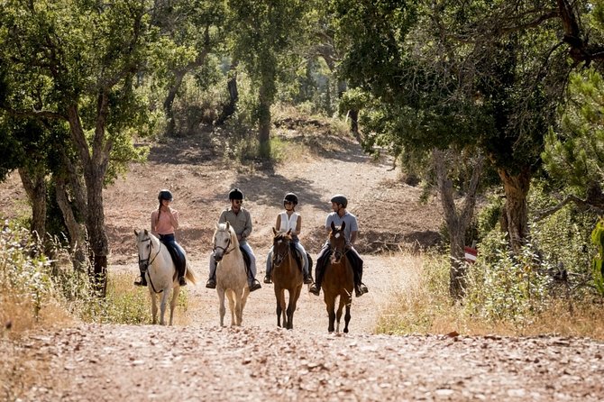 1.5 Hr Horseback Riding Montevideo, Uruguay, With Transportation - Key Points