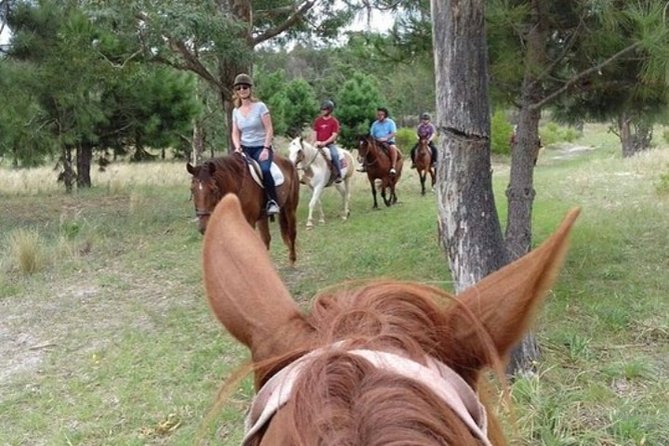 1.5 Hr Horseback Riding Montevideo, Uruguay, With Transportation - Meeting and Pickup Logistics