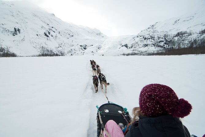 1.5 Hr - Winter Dog Sledding in Knik, Alaska - Meeting and Pickup