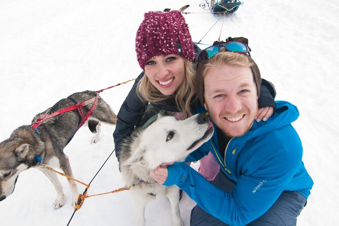 1.5 Hr - Winter Dog Sledding in Knik, Alaska - Exploring the Knik Wilderness