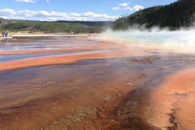 #1 All-Inclusive Private Minibus Tours of Yellowstone up to 25px - Inclusions in the Tour