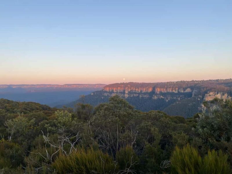 #1 Blue Mountains Tour Scenic World Waterfalls Wildlife Park - Final Thoughts: Who Should Consider This Tour?