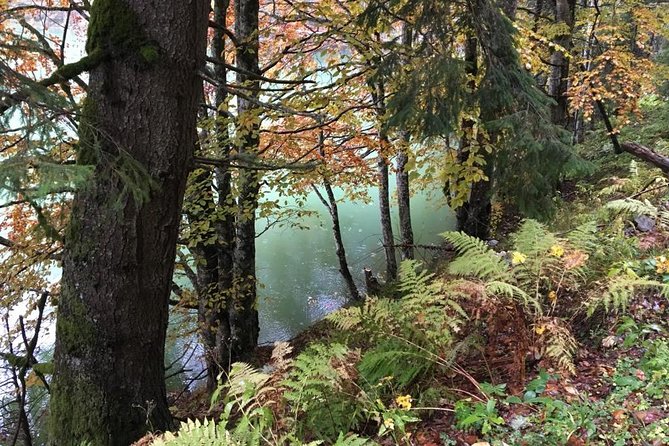 1 Day 4x4 Tour in Carpathian Mountains - Booking and Cancellation