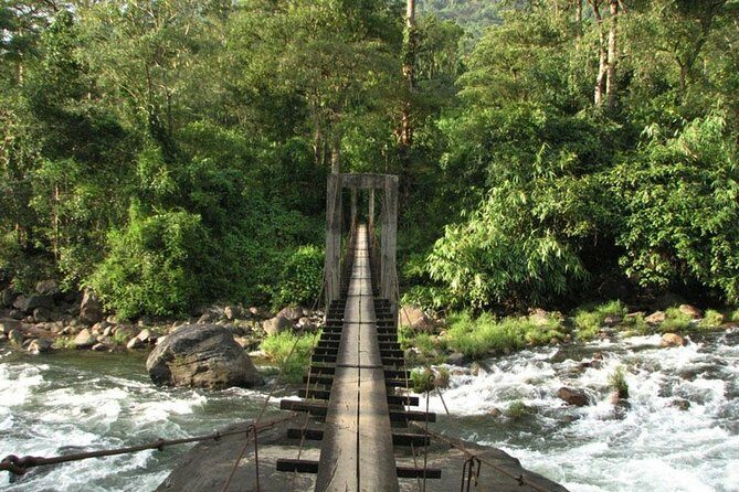 1 Day Activity Adventure Trekking Kerala - Key Points