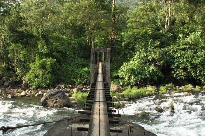1 Day Activity Adventure Trekking Kerala - Authentic Experiences That Make This Tour Special