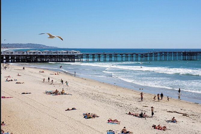 1 Day Adult Surf Retreat in San Diego - Relaxed, Friendly Environment