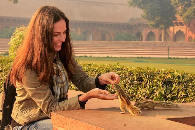 1 Day Agra and 1 Day Jaipur Private Tour From Agra - Exploring Jaipurs Key Attractions