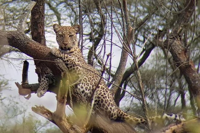 1 Day Akagera Wildlife Safaris Rwanda (2 Pax Min) - Memorable Safari Experience