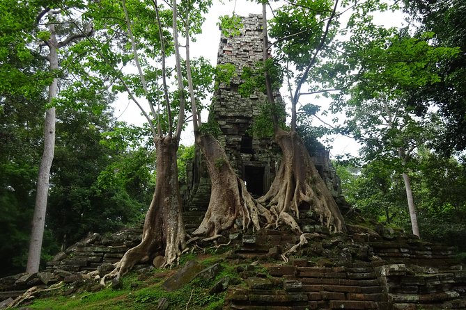 1-Day Amazing Angkor Wat Tour With Sunrise & All Interesting Major Temples - Reviews