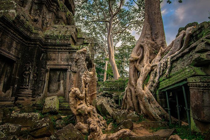 1-Day Amazing Angkor Wat Tour With Sunset & All Interesting Major Temples - Ta Prohm Exploration