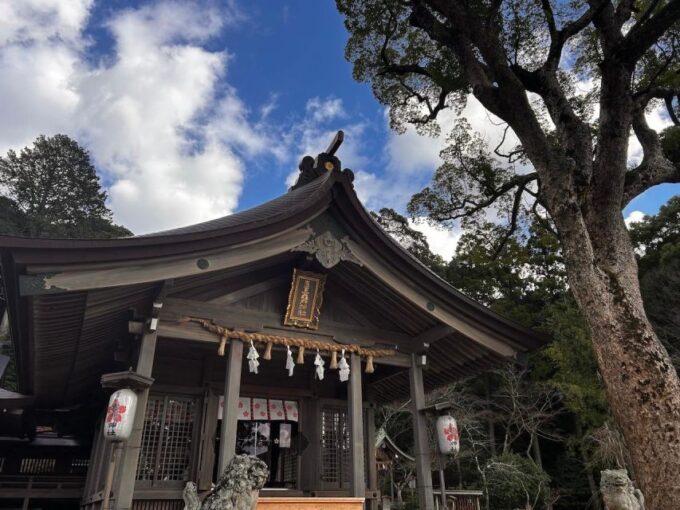 1 Day Anime Otaku Walking Tour in Fukuoka - Important Tour Information