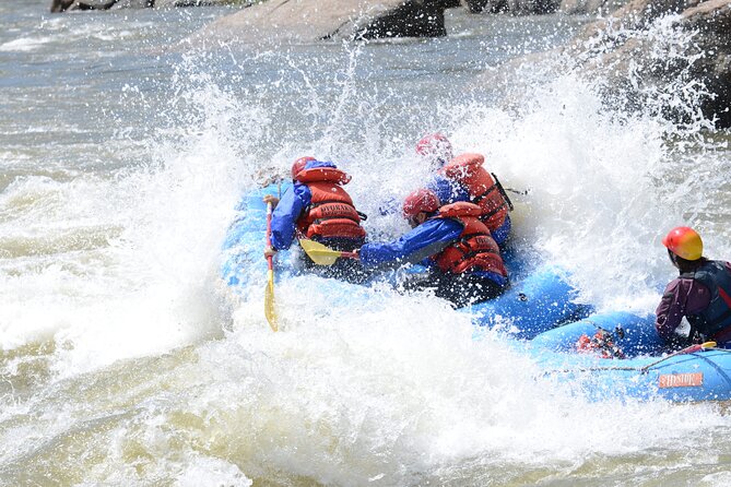 1-Day Arkansas River - Bighorn Sheep Canyon Trip - Overview of the Activity