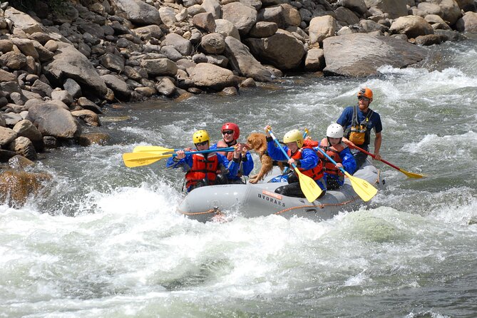 1-Day Arkansas River - Bighorn Sheep Canyon Trip - Exploring Bighorn Sheep Canyon