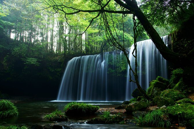 1 Day Aso 3 Sights Private Tour From or to Kumamoto - What to Expect During the Tour