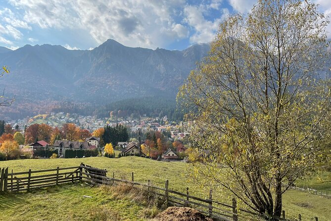 1 Day ATV Tour in Carpathian Mountains - Accessibility and Participation