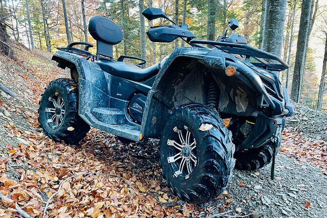 1 Day ATV Tour in Carpathian Mountains - Group Size and Pricing