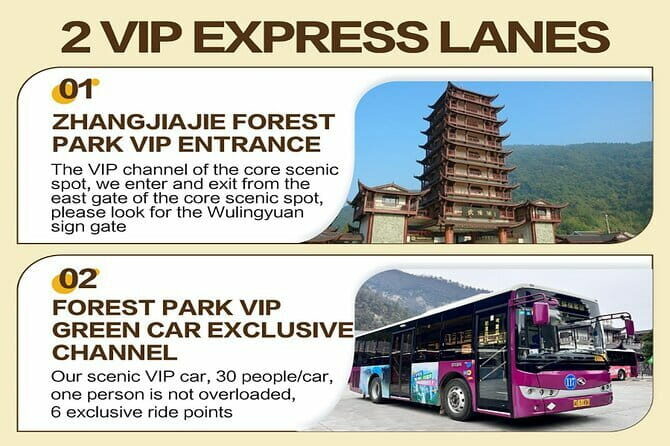 1 Day Avatar Mountain & Fores Park Group Tour with VIP Access - Introduction to the Zhangjiajie VIP Day Tour