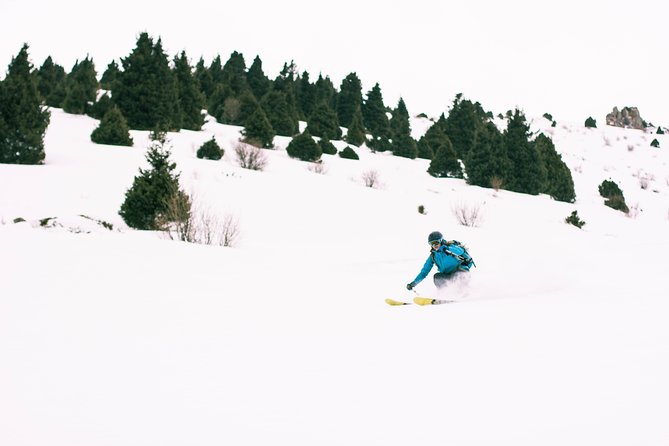 1-day Backcountry Tour - Reviews