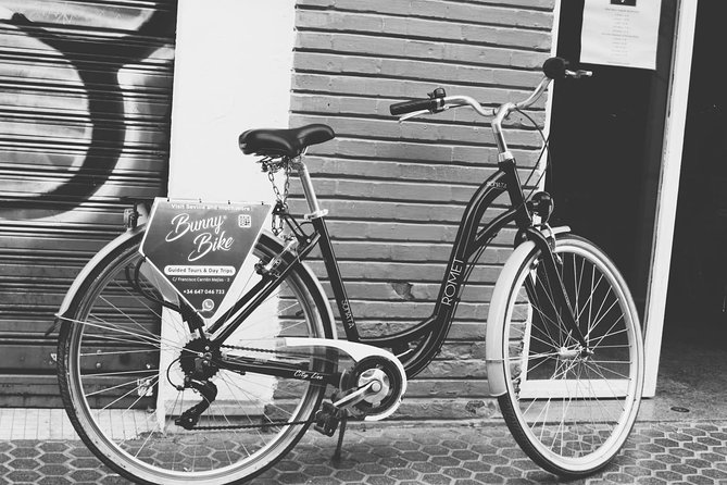 1 Day Bike Rental in Seville City - Customer Feedback