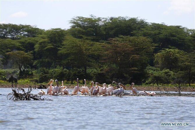 1 Day Bike Tour to Hell's Gate And Lake Naivasha - What to Expect