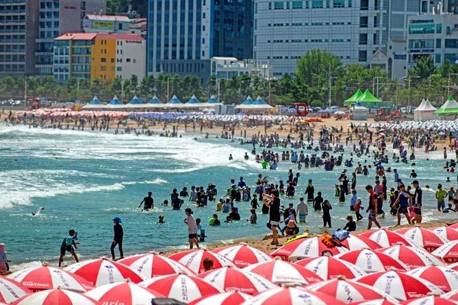 1-Day Busan and INCLUDED Night Tour - Gwangan Bridge