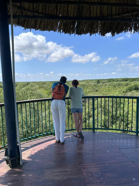 1-Day Can Gio Island- Mangrove Biosphere Reserve With Lunch - Can Gio Biosphere Reserve