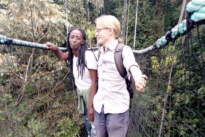 1 Day Canopy Walk Adventure in Nyungwe Forest National Park - Key Points